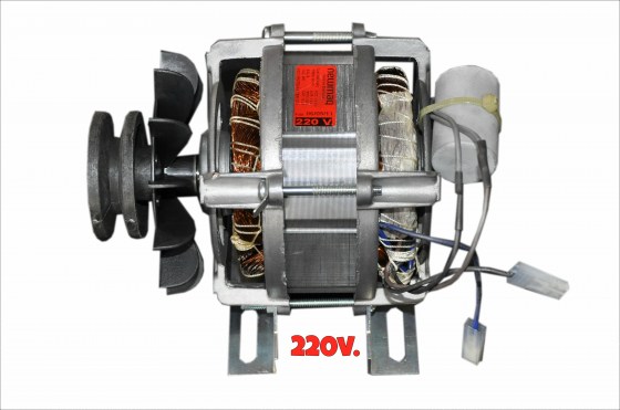 1138 MOTOR  220v.  (Pé de Ferro-42 MM.) - POLIA DE ALUMÍNIO 44